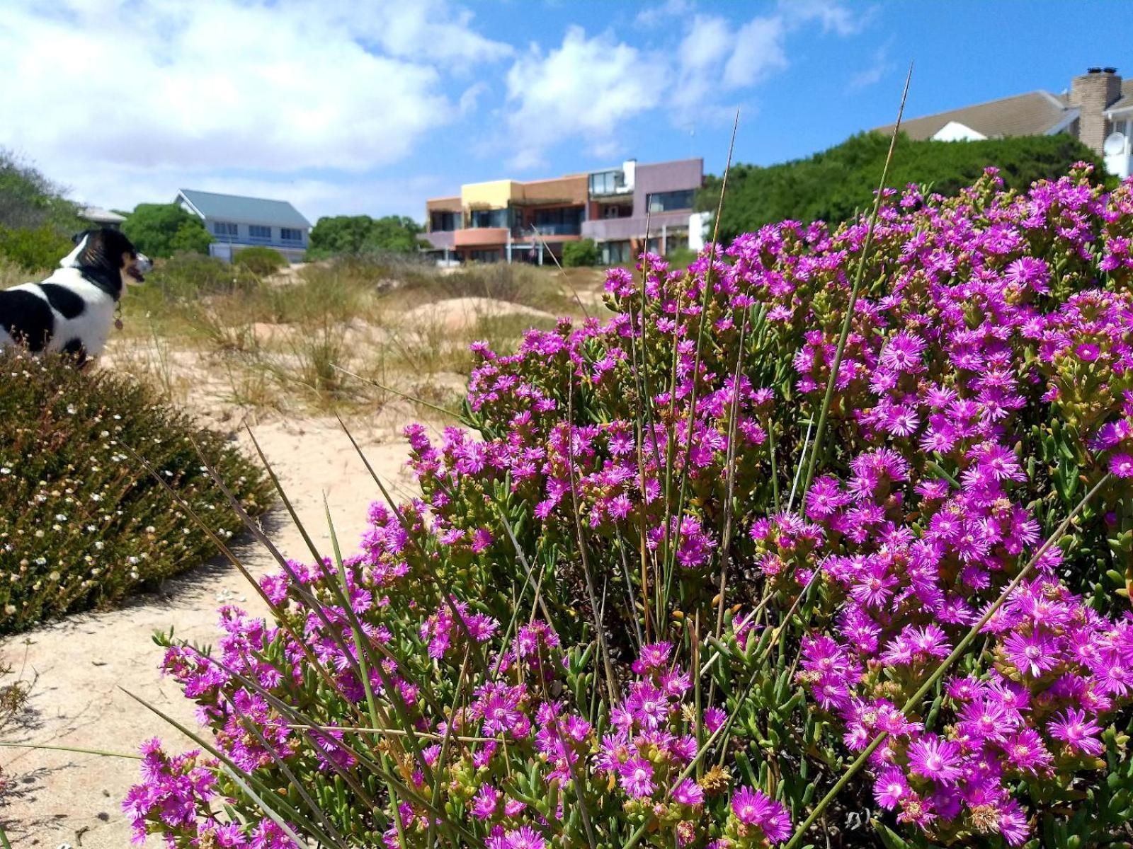 Absolute Beach Accommodation Stompneusbaai Luaran gambar